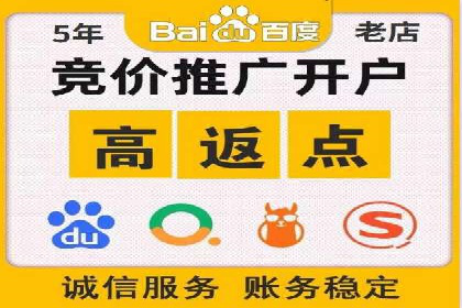 精准投放，高效转化——网站sem托管的胜利案例